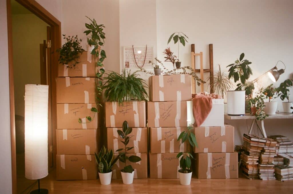 Room filled with packed boxes while cleaning out a parent's home